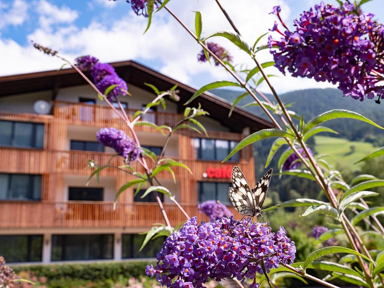 Der Brueckenwirt Aparthotel Heinfels Εξωτερικό φωτογραφία